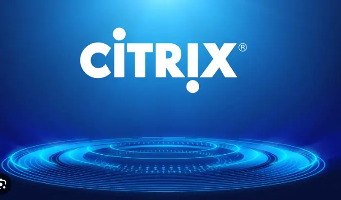 citrix audio not working